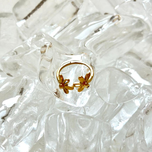 Maria Ring