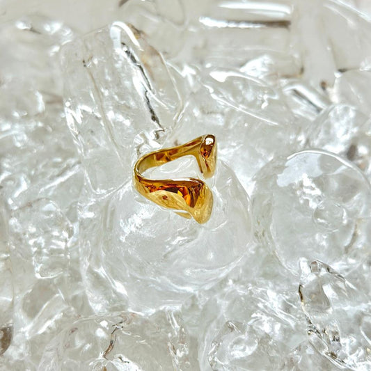 Kenny Ring
